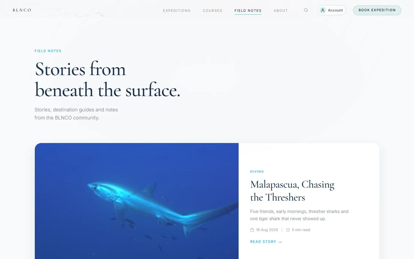 BLNCO Field Notes page featuring a thresher shark story card