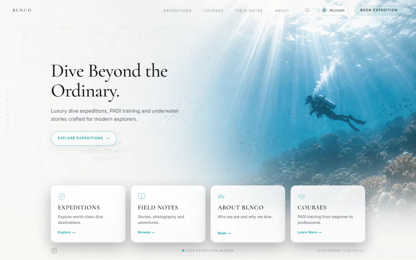 BLNCO project visual